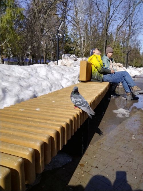 В Лениногорске будет аномально меняться погода