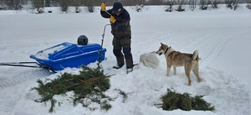 В Татарстане проходят работы по аэрации водоёмов