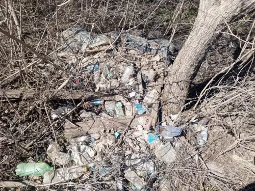 В Лениногорском районе выявлены 3 несанкционированные свалки
