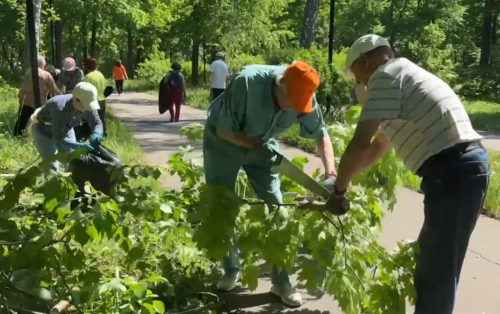 В Лениногорске в «День лесопарка» на субботник вышли 500 человек