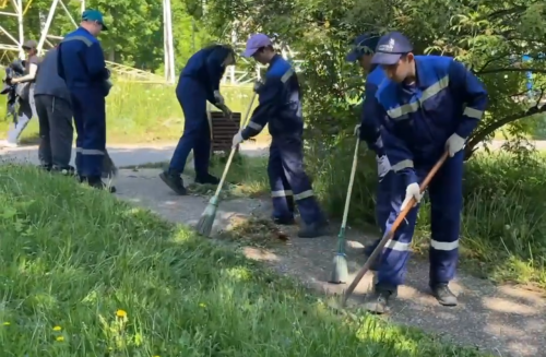 В Лениногорске в «День лесопарка» на субботник вышли 500 человек