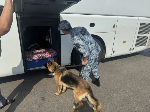 ГИБДД Лениногорска подвела итоги рейда по проверке автобусов и такси