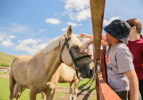 III Всероссийский фестиваль «Татар аты» прошел в Лениногорске