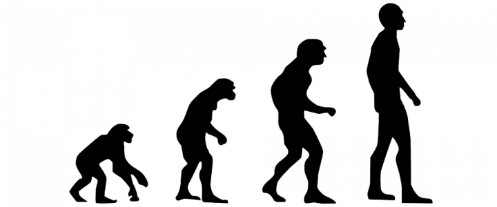 Ученые могут удлинить историю Homo sapiens на 100 – 200 тыс. лет