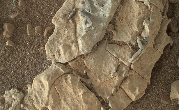 NASA обнаружила на Марсе возможные древние окаменелости 