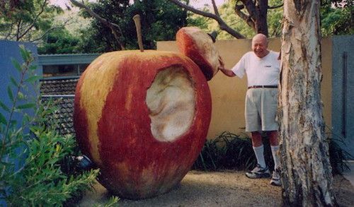 Лениногорцы самое большое яблоко в мире