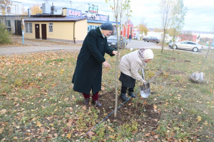 В Лениногорске высадили лучшие природные фильтры