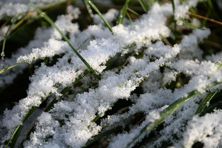 Эксперт КФУ рассказал, когда в Татарстане ждать первый снег