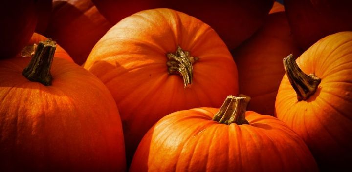 Роскачество раскрыло секрет по выбору тыквы на Хэллоуин
