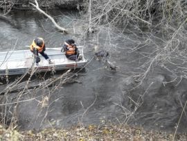 В Лениногорском районе обнаружили тело в воде