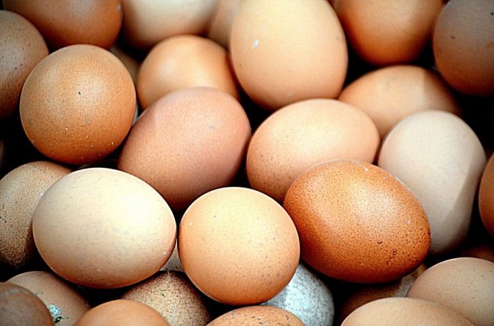 Какие яйца полезнее: коричневые или белые?