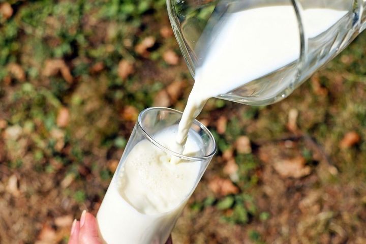 В Татарстане с начала года подорожает молоко