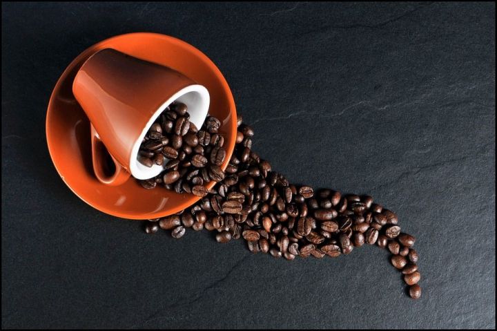 Для чего опытные хозяйки хранят кофейную гущу про запас: 6 причин не выбрасывать остатки в мусор