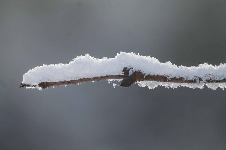 Гидромет РФ изменил прогноз: Обильных снегопадов в Татарстане не будет