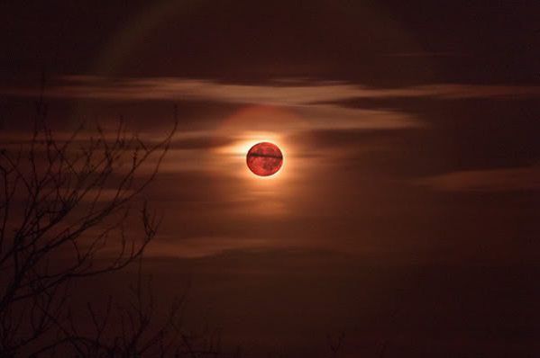 Кровавая Луна — явление, которое стоит увидеть