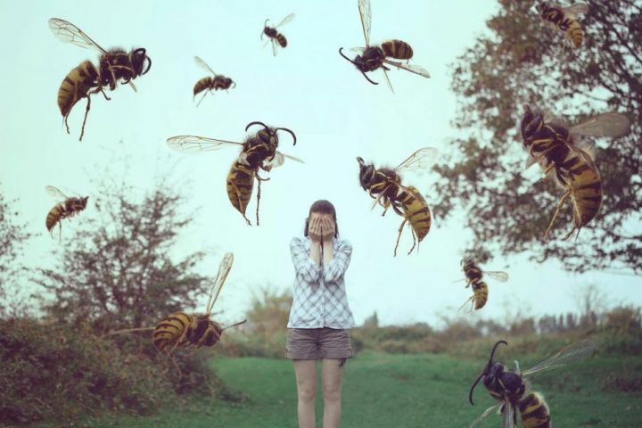 Жалко, что у пчелки жалко