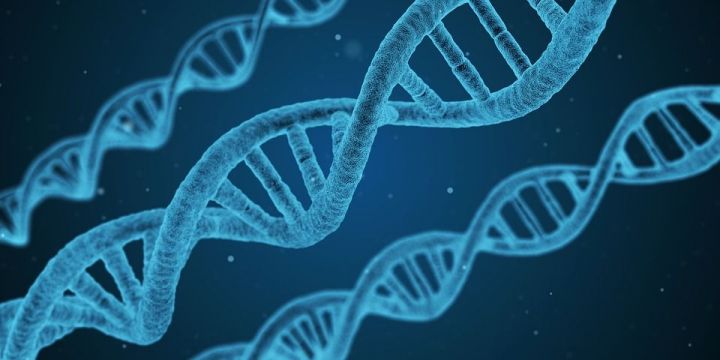 Таймер ДНК: как генетика влияет на возрастные кризисы человека