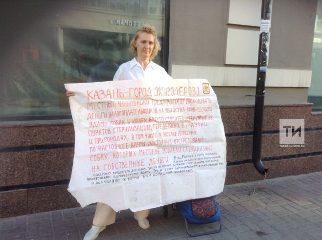 В Казани на Баумана начался одиночный пикет «Против убийства мэрией бездомных собак»
