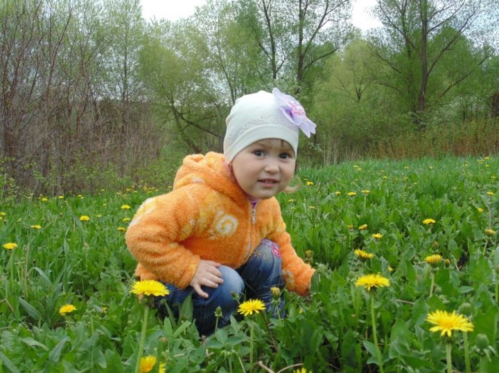 И снова участник нашего популярного конкурса "Одуванчики"