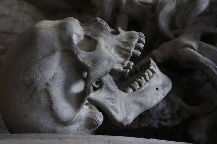Жительница Набережных Челнов нашла на улице человеческий скелет