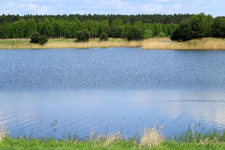 Соответствует ли гигиеническим нормам вода в нижнем водоёме Лениногорска?