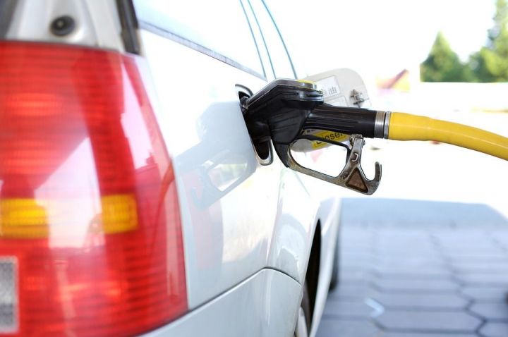 Альфия Когогина: Госдума снизила акцизы на бензин и дизельное топливо