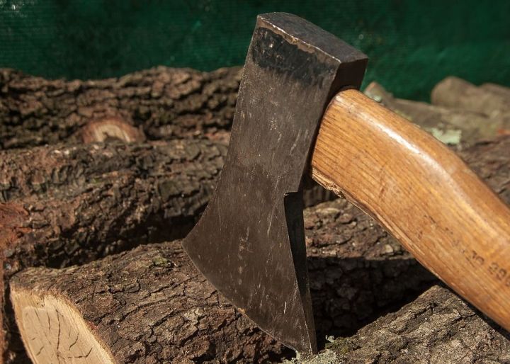 В Татарстане лесники «наломали дров» на 4 млн рублей