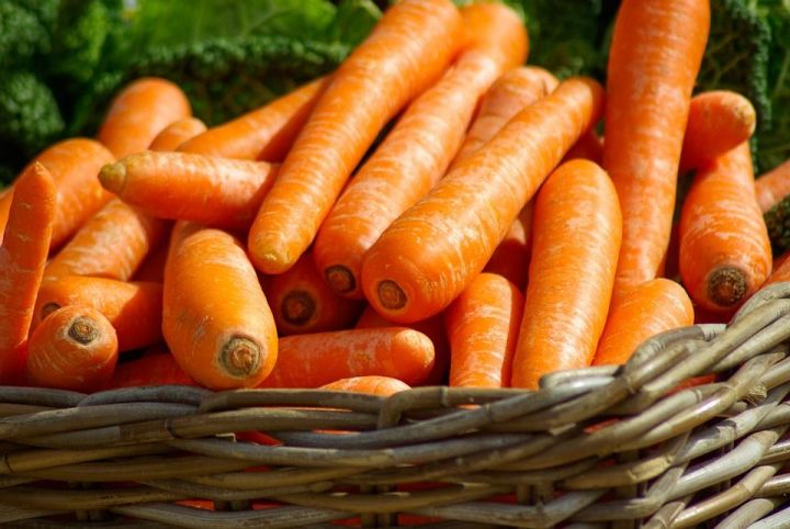 Рецепт дня:  как приготовить морковный торт