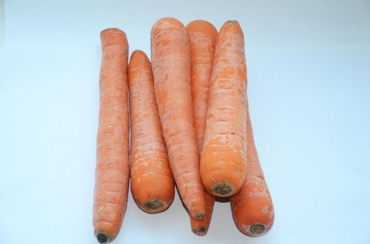 Лекарство с грядки: морковь