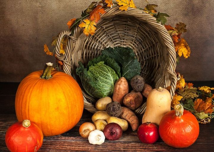 Что приготовить осенью: идеи блюд из сезонных продуктов