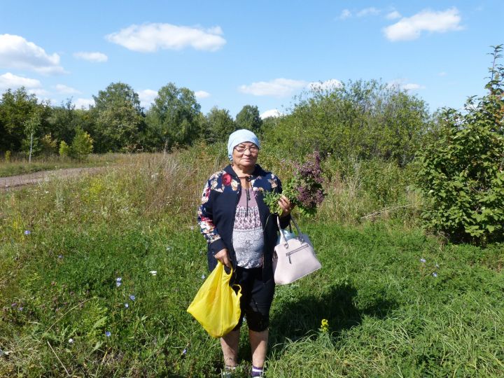 Окунулись в мир флоры в Лениногорском районе