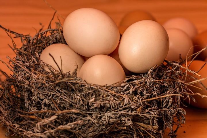 Яйца начали продавать девятками в России