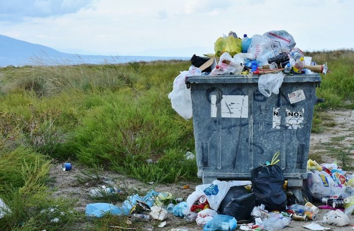 Забота об экологии: в России могут отменить плату за вывоз мусора