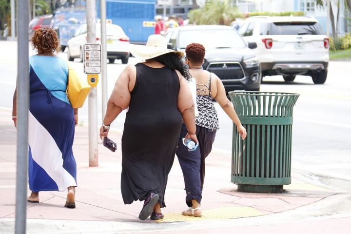 Какая категория россиян больше всего подвержена ожирению