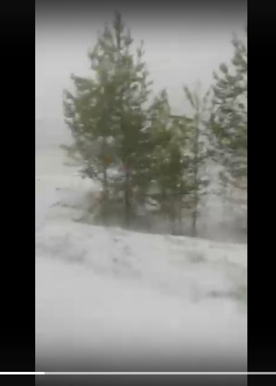 В Лениногорске прошел снегопад!