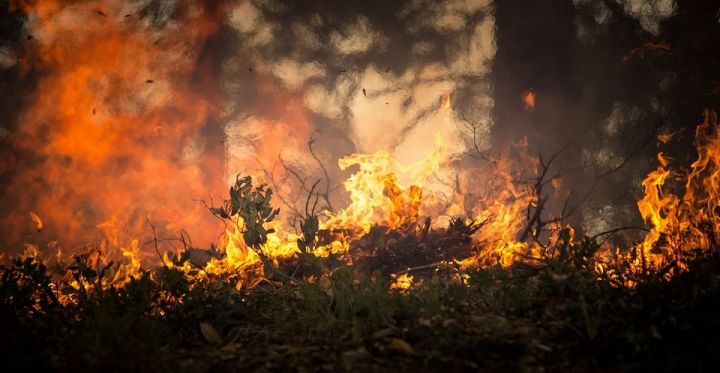 За один день в Татарстане от удара молний произошло четыре пожара