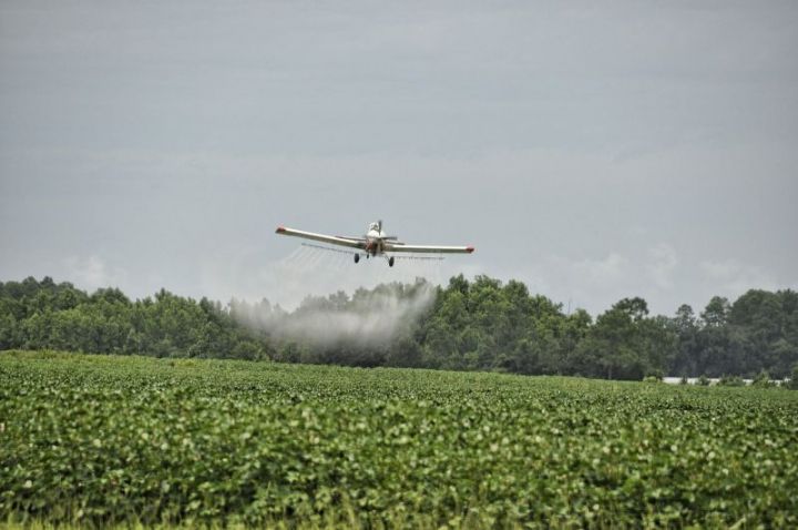 Минсельхозпрод Татарстана информирует сельхозпроизводителей о правилах применения пестицидов и агрохимикатов