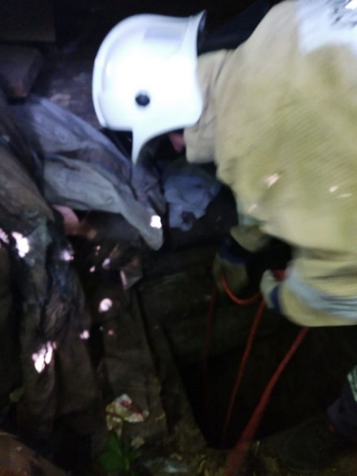 В Кировском районе Казани спасатели вытащили собаку, провалившуюся в погреб