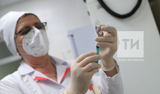 В РТ до февраля придет 190 тыс. доз вакцины от коронавируса «Спутник V»