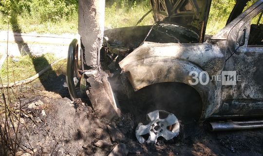 Пикап в Татарстане врезался в опору ЛЭП и загорелся, водитель погиб