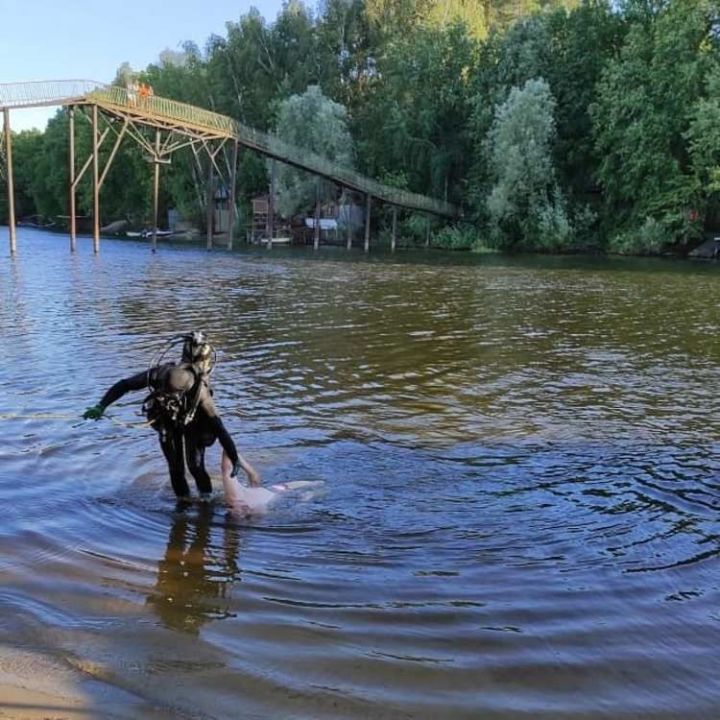 Пьяный житель Татарстана нырнул в Волгу возле лодочной станции и утонул