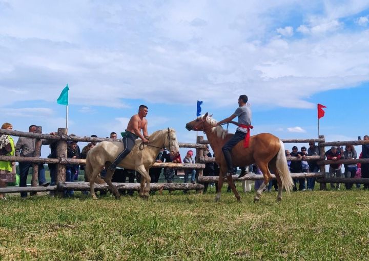 На Сабантуе прошли соревнования по национальной борьбе на лошадях «Аударыш»