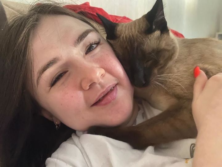В Лениногорске у девушки-инвалида украли сиамского кота