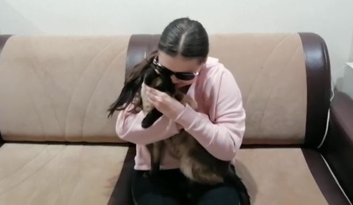 Похищенный в Лениногорске кот нашелся