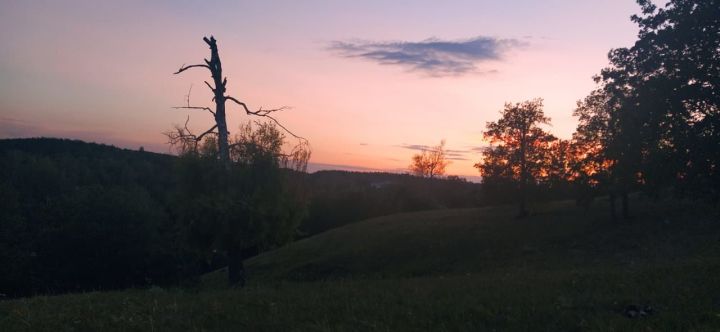 В Лениногорском районе нашли тело женщины, которую поджег собутыльник