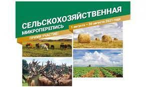 Как в Лениногорском районе прошла сельскохозяйственная микроперепись?