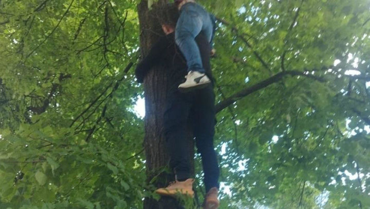 В Татарстане женщина застряла на дереве