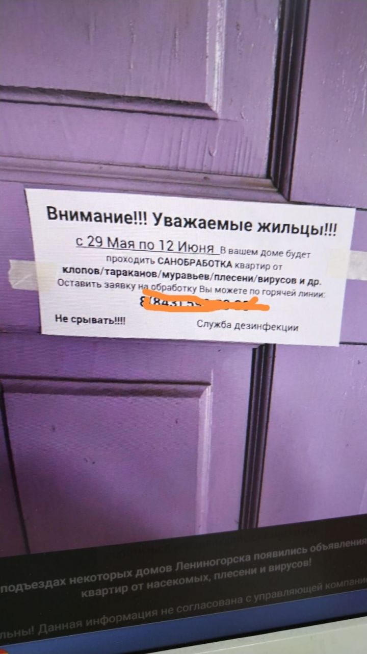 Жители Лениногорска обсуждают в соцсетях развешанные по подъездам объявления от неизвестной службы дезинфекции
