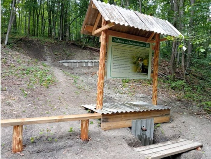 Два родника в Лениногорском районе участвуют в конкурсе «Родники России»