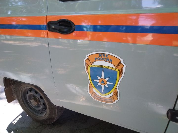 В Лениногорске в неработающий колодец упала косуля
